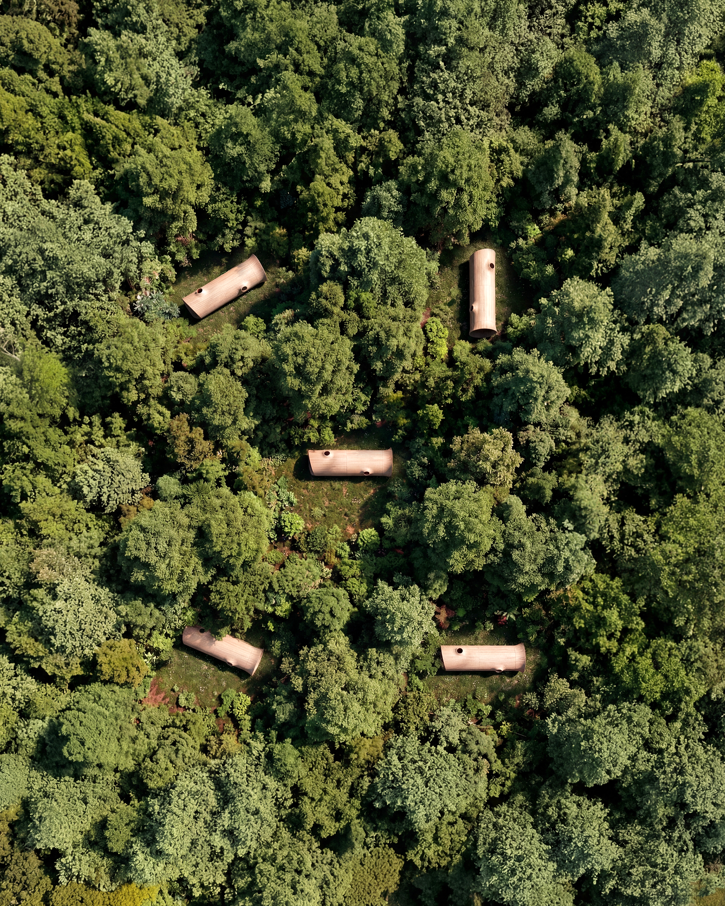 <span class='videoSpace'>FALLEN TREE</span> </br> A collaboration with our friends at Essesi Design Studio_this cabin is inspired by the Giant Redwood and Sequoia trees of California_where they grew up._ 6
